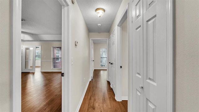 hall with a wealth of natural light, baseboards, a textured ceiling, and wood finished floors