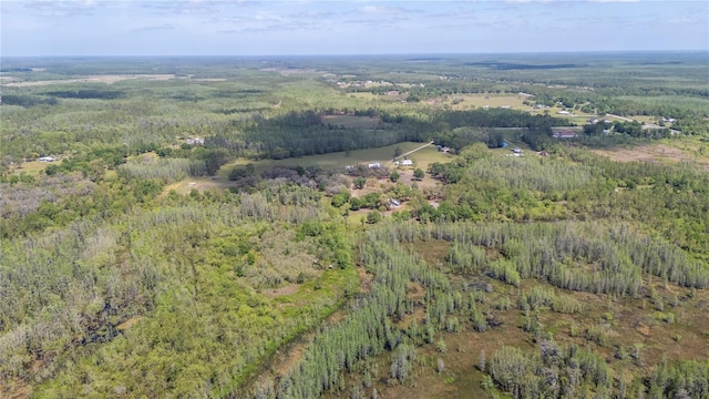 8337 Fussell Rd, Polk City, FL 33868 - photo 83