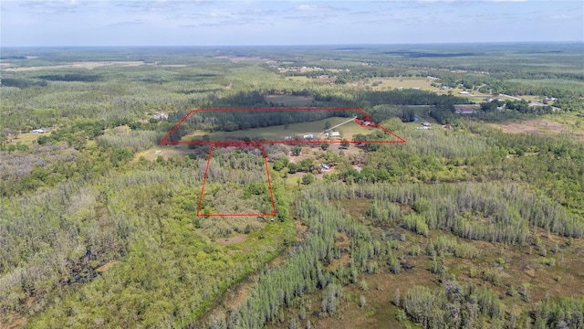 8337 Fussell Rd, Polk City, FL 33868 - photo 84