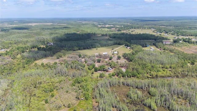 8337 Fussell Rd, Polk City, FL 33868 - photo 85