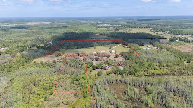 8337 Fussell Rd, Polk City, FL 33868 - photo 86