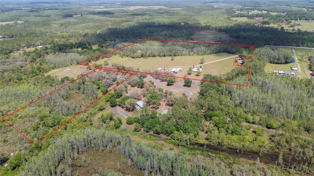 8337 Fussell Rd, Polk City, FL 33868 - photo 88