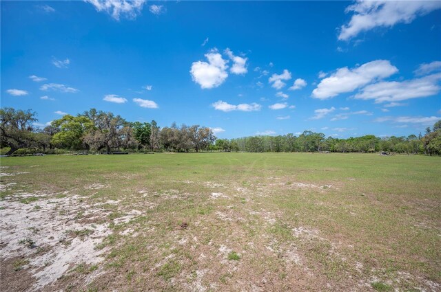 8337 Fussell Rd, Polk City, FL 33868 - photo 95