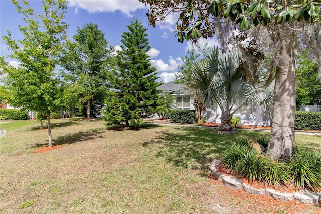 6626 Royal Forest Dr, Lakeland, FL 33811 - view of yard
