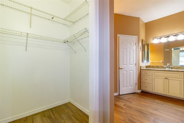 6626 Royal Forest Dr, Lakeland, FL 33811 - spacious closet with light wood-type flooring and a sink
