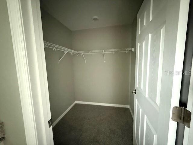 spacious closet with dark carpet