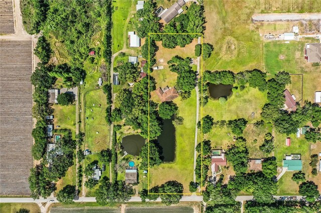 4101 N Forbes Rd, Plant City, FL 33565 - aerial view of property's location featuring property boundaries highlighted