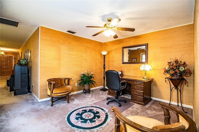 4101 N Forbes Rd, Plant City, FL 33565 - home office featuring ceiling fan, carpet flooring, baseboards, and a textured ceiling