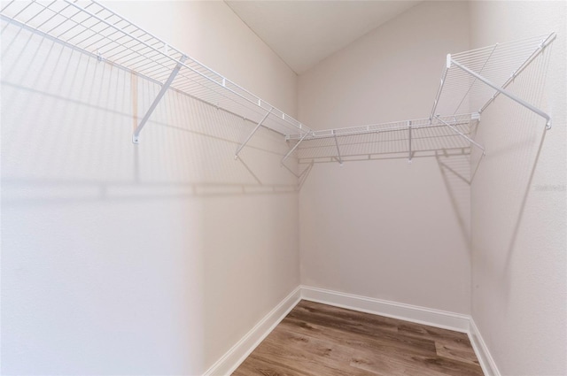 spacious closet with wood finished floors