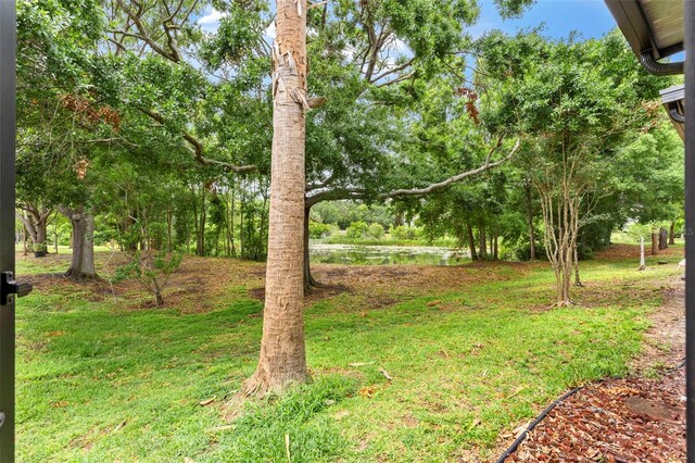 2125 Wild Grape Pl, Riverview, FL 33578 - view of grassy yard