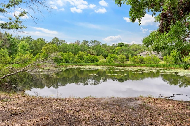 2125 Wild Grape Pl, Riverview, FL 33578 - water view with a heavily wooded area