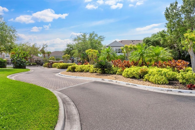 2125 Wild Grape Pl, Riverview, FL 33578 - view of asphalt street featuring curbs and a residential view