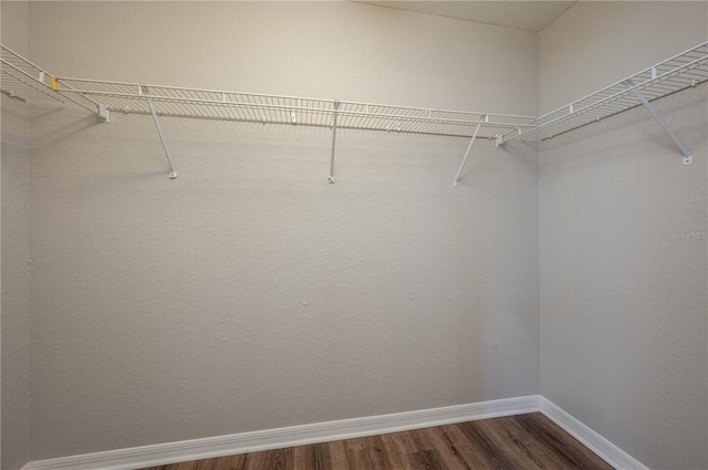 walk in closet featuring dark wood-style flooring