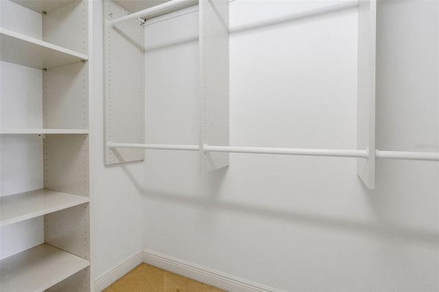 view of spacious closet