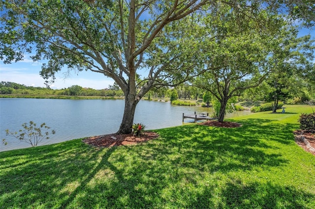 water view featuring a dock