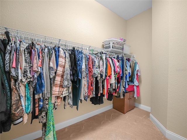 3300 Hawks Ridge Dr, Lakeland, FL 33810 - spacious closet with carpet