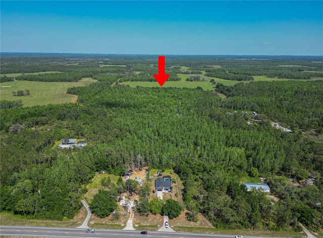 18231 Commonwealth Ave N, Polk City, FL 33868 - photo 68