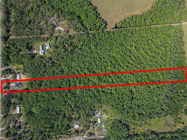 18231 Commonwealth Ave N, Polk City, FL 33868 - photo 69