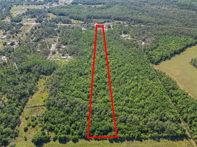 18231 Commonwealth Ave N, Polk City, FL 33868 - photo 70