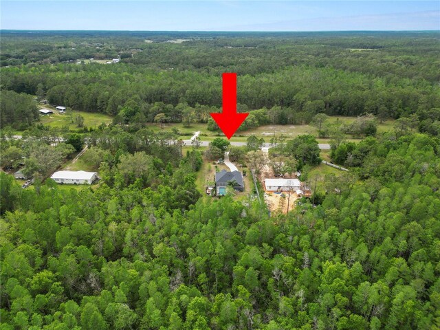 18231 Commonwealth Ave N, Polk City, FL 33868 - photo 65