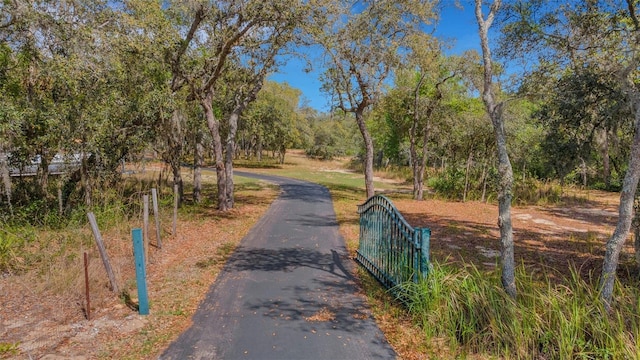 12301 Jim Edwards Rd, Haines City, FL 33844 - view of road with a gate