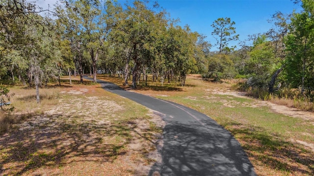 12301 Jim Edwards Rd, Haines City, FL 33844 - view of property's community