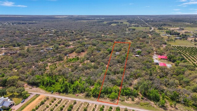 12301 Jim Edwards Rd, Haines City, FL 33844 - overview of rural landscape featuring property parcel outlined and a forest