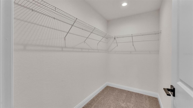 803 Allison Pl, Bartow, FL 33830 - spacious closet with carpet floors