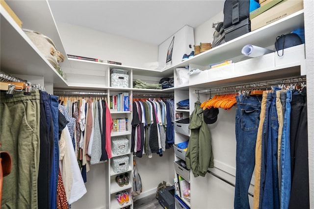 walk in closet featuring wood finished floors