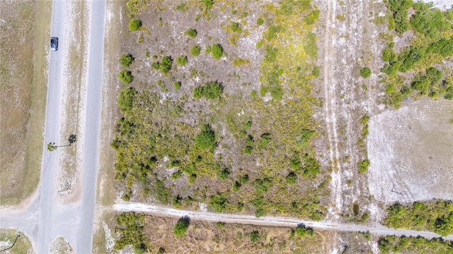 96 Desoto Ave, Indian Lake Estates, FL 33855 - photo 4