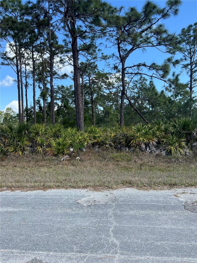 0 Pandora Dr, Indian Lake Estates, FL 33855 - photo 4