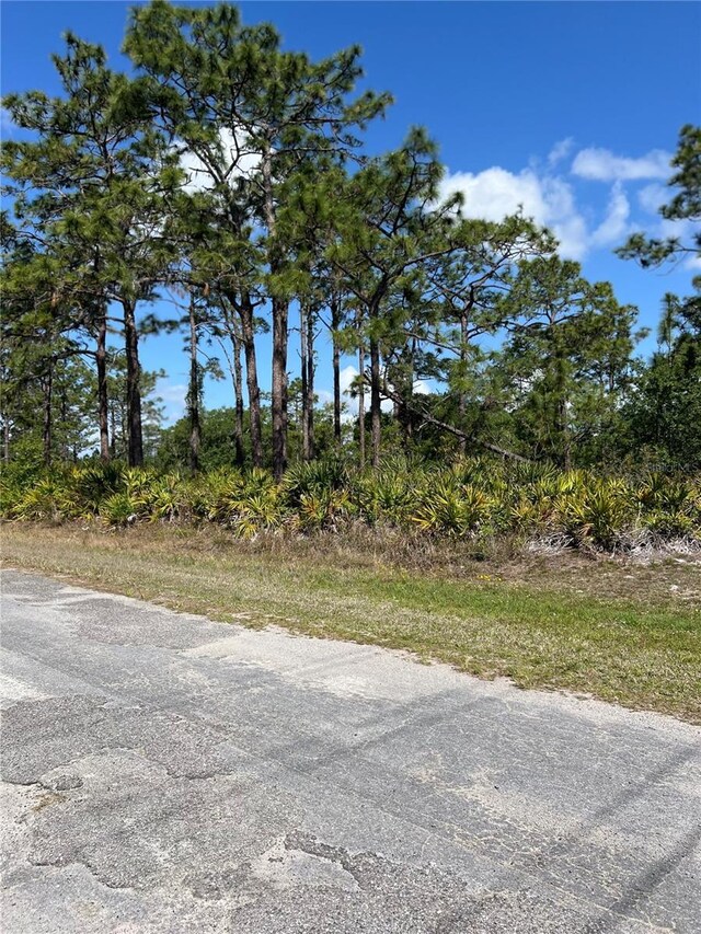 0 Pandora Dr, Indian Lake Estates, FL 33855 - photo 5