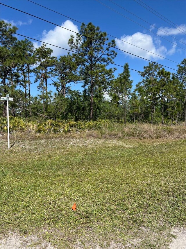 0 Pandora Dr, Indian Lake Estates, FL 33855 - photo 7