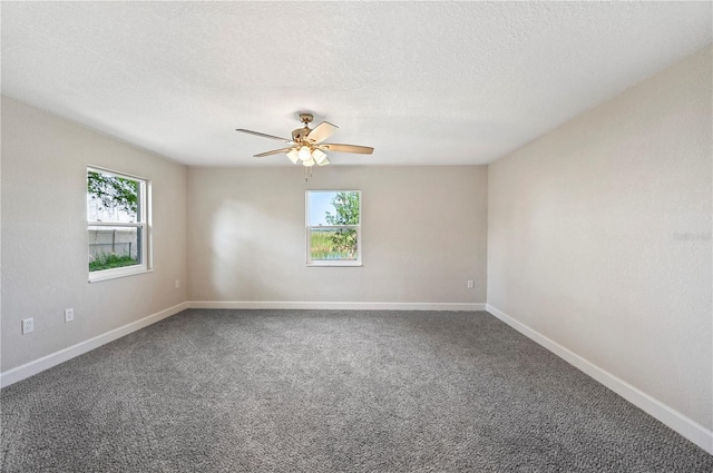 1502 Edgewater Beach Dr, Lakeland, FL 33805 - spare room with plenty of natural light, carpet flooring, a textured ceiling, and a ceiling fan