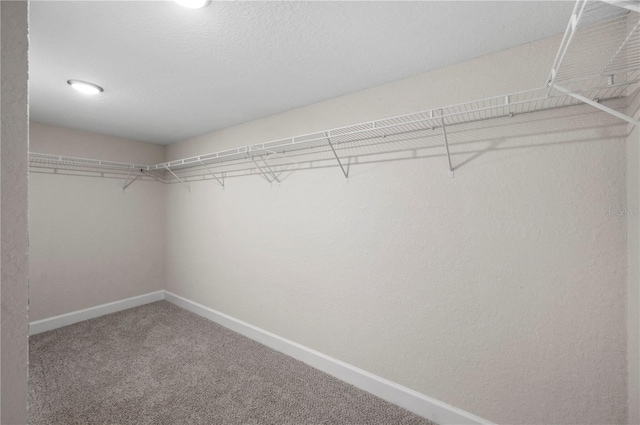 1502 Edgewater Beach Dr, Lakeland, FL 33805 - walk in closet featuring carpet