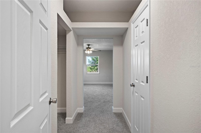 1502 Edgewater Beach Dr, Lakeland, FL 33805 - hall with carpet flooring, baseboards, and a textured wall
