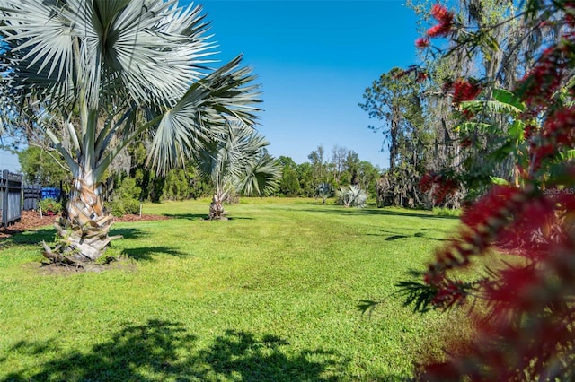 701 E 60th Hwy, Plant City, FL 33567 - photo 82
