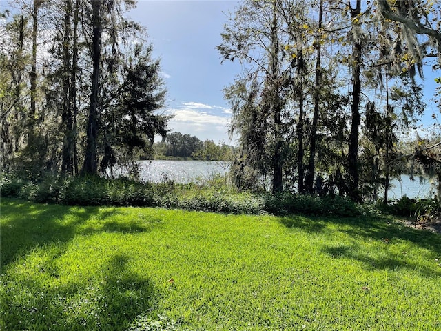 701 E 60th Hwy, Plant City, FL 33567 - photo 83
