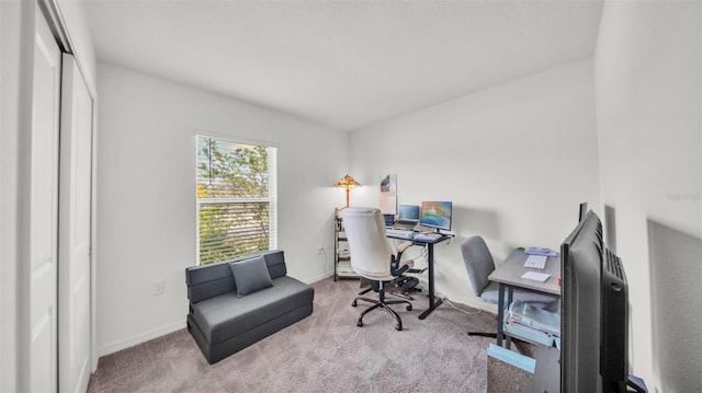 613 Sarner Pass Way, Winter Haven, FL 33881 - home office with carpet floors and baseboards