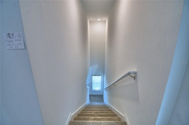 stairway with a textured wall and carpet floors