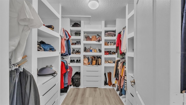 spacious closet featuring light wood-type flooring