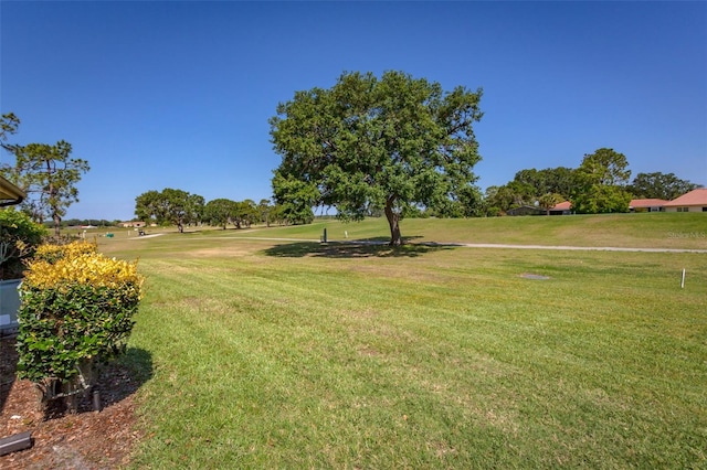 view of community featuring a yard