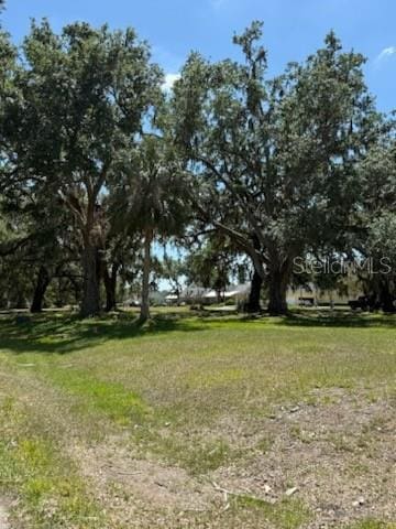 0 River Oak Dr, Fort Meade, FL 33841 - photo 5