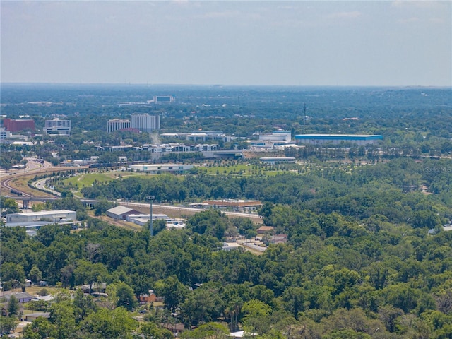 1720 Kendrick Ln, Lakeland, FL 33805 - aerial view with a view of trees