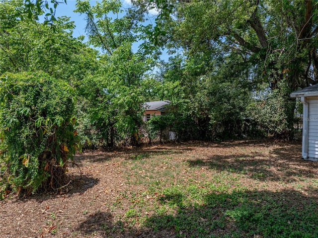 1720 Kendrick Ln, Lakeland, FL 33805 - view of yard