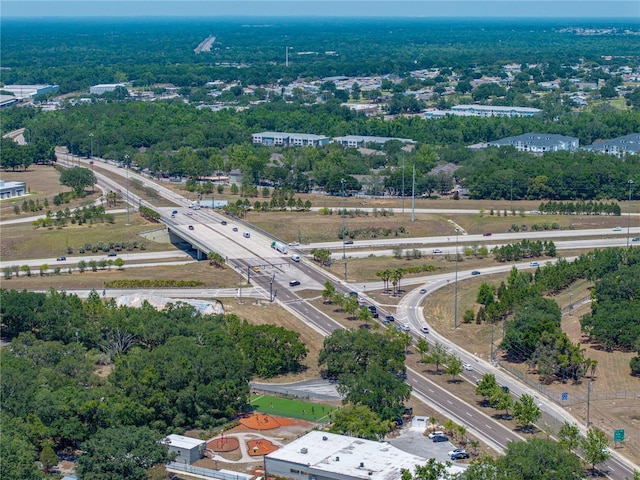 1720 Kendrick Ln, Lakeland, FL 33805 - drone / aerial view