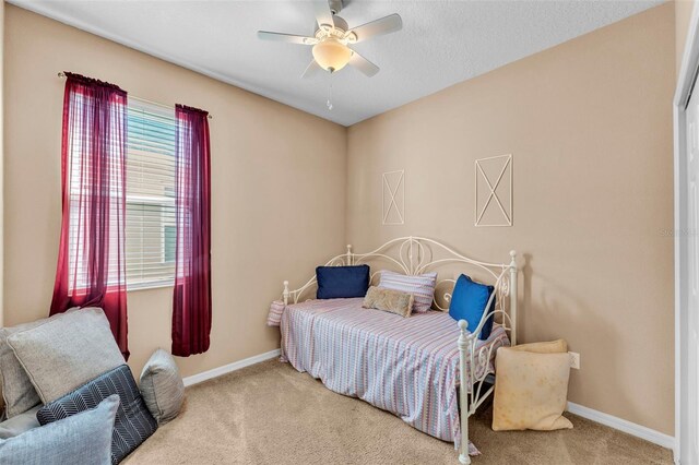 3134 Macintosh Rd, Land O Lakes, FL 34639 - photo 24