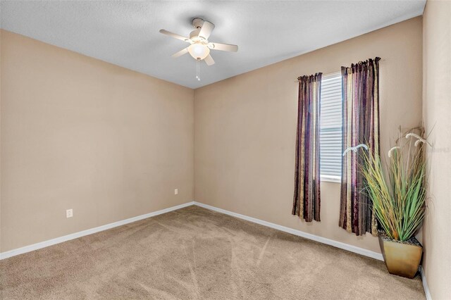 3134 Macintosh Rd, Land O Lakes, FL 34639 - photo 29