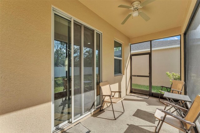 3134 Macintosh Rd, Land O Lakes, FL 34639 - photo 33