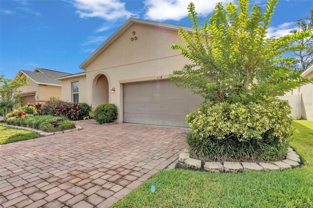 3134 Macintosh Rd, Land O Lakes, FL 34639 - photo 37